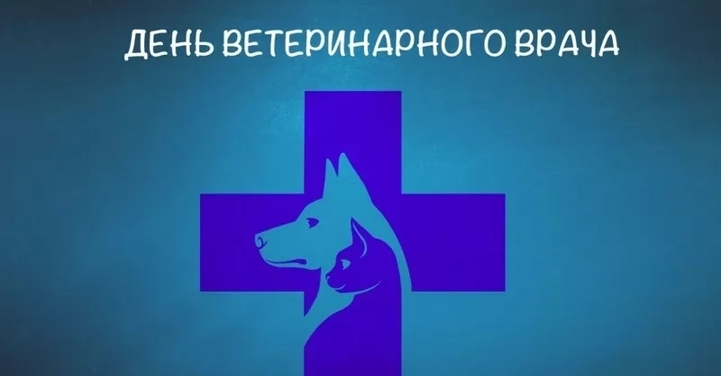 Международный день ветеринарного врача