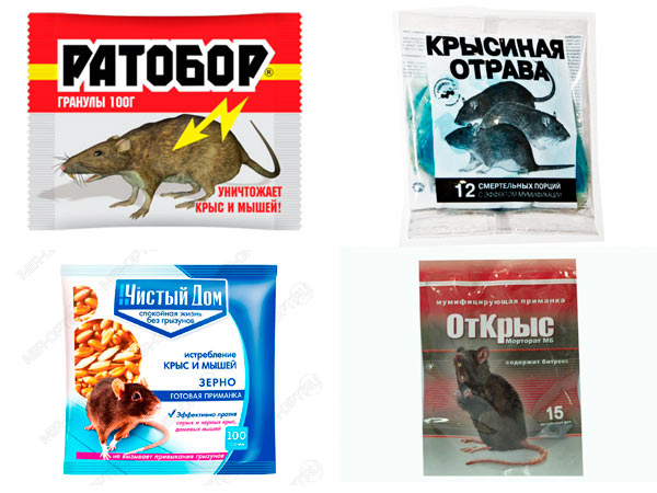 Отравление крысиным ядом Отравление крысиным ядом