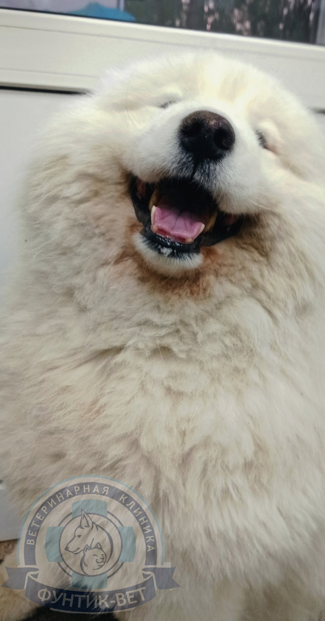 Жаркие дни Жаркие дни