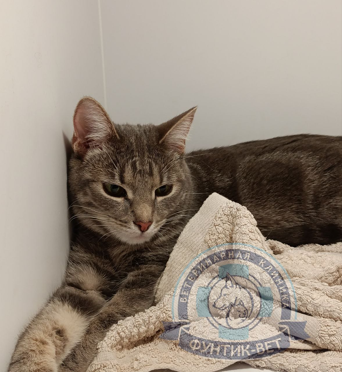 Дневной стационар