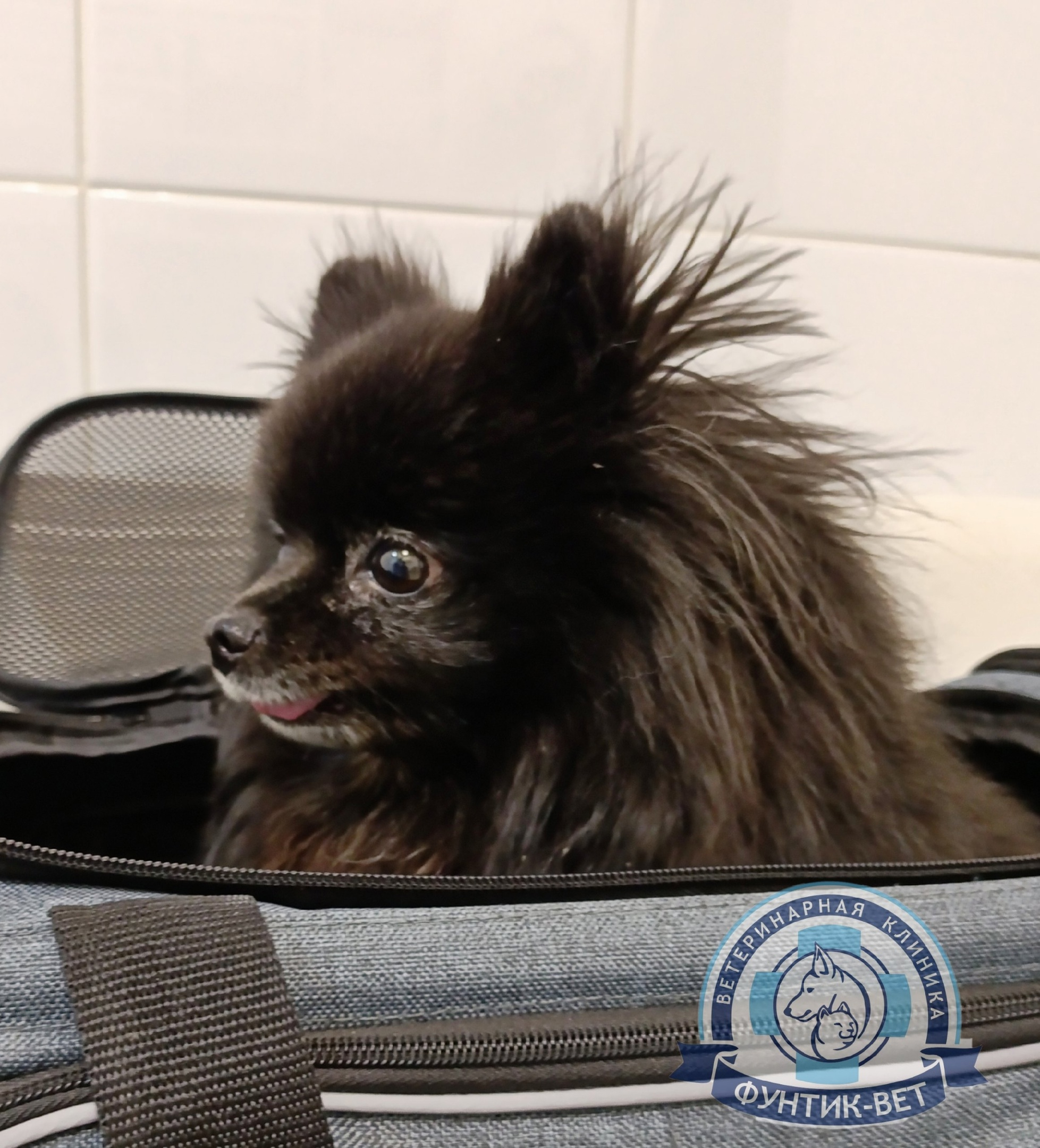 Синдром обратного чихания