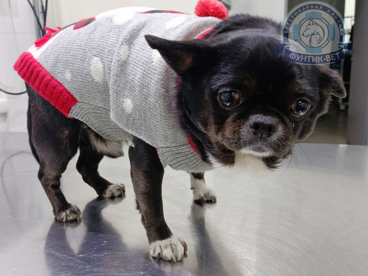 Пришла зима! Пришла зима!