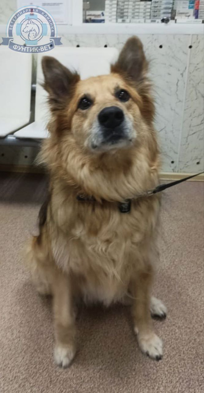 Общий анализ крови