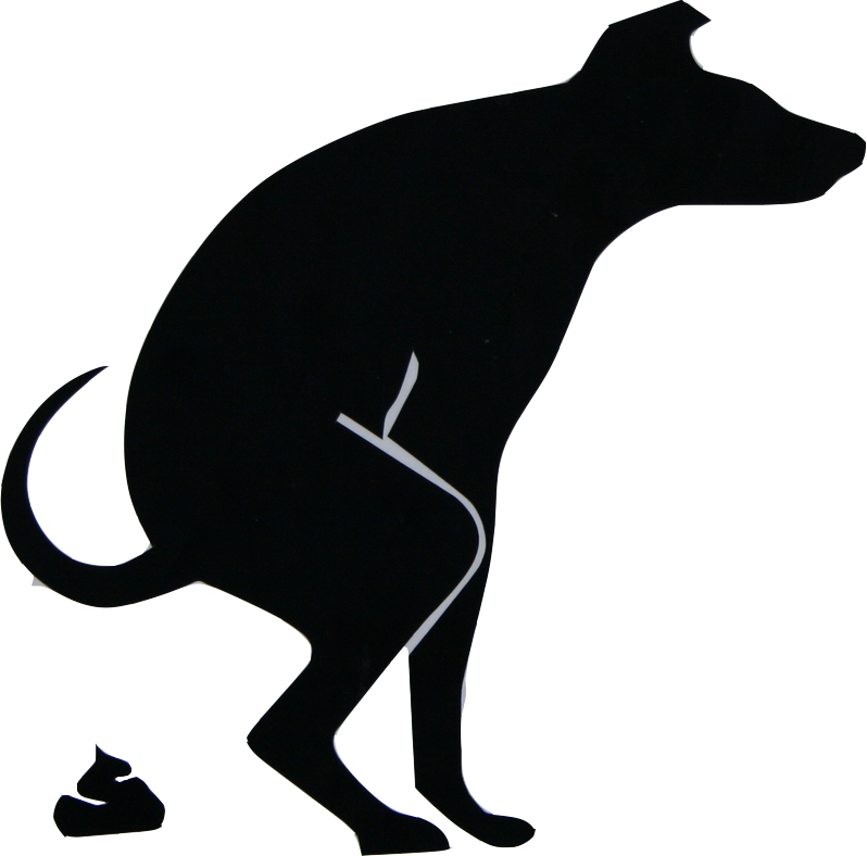 Общий анализ кала Общий анализ кала