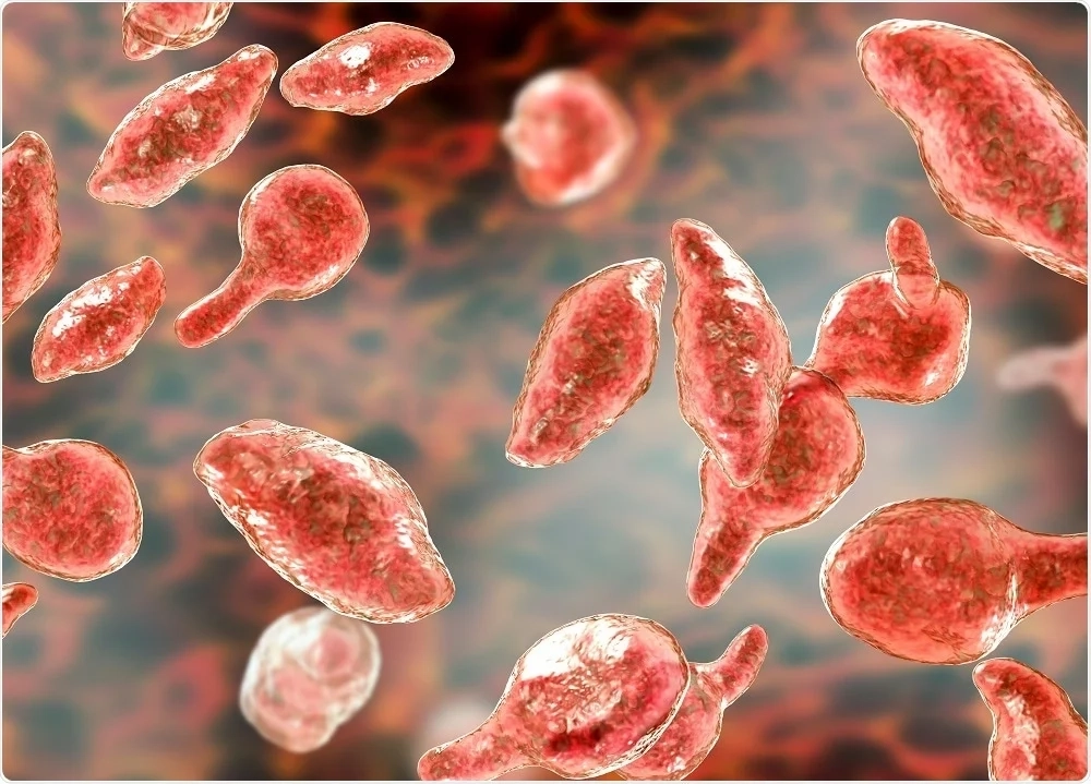 Микоплазмоз собак