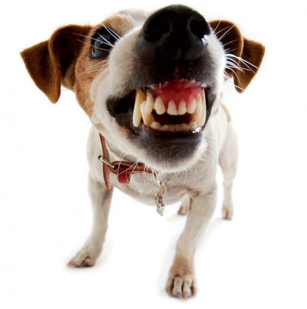 Переломы зубов