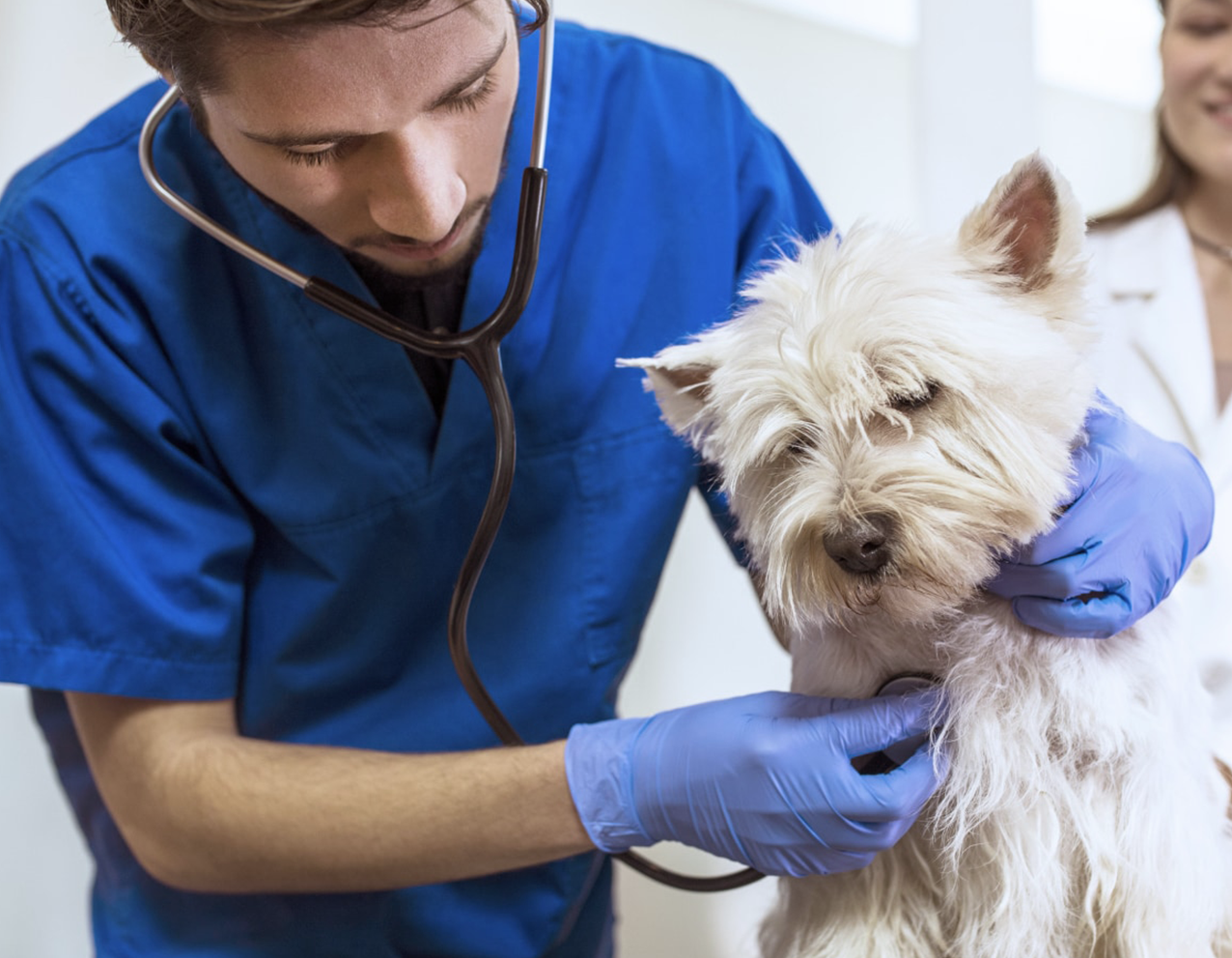 Кардиология