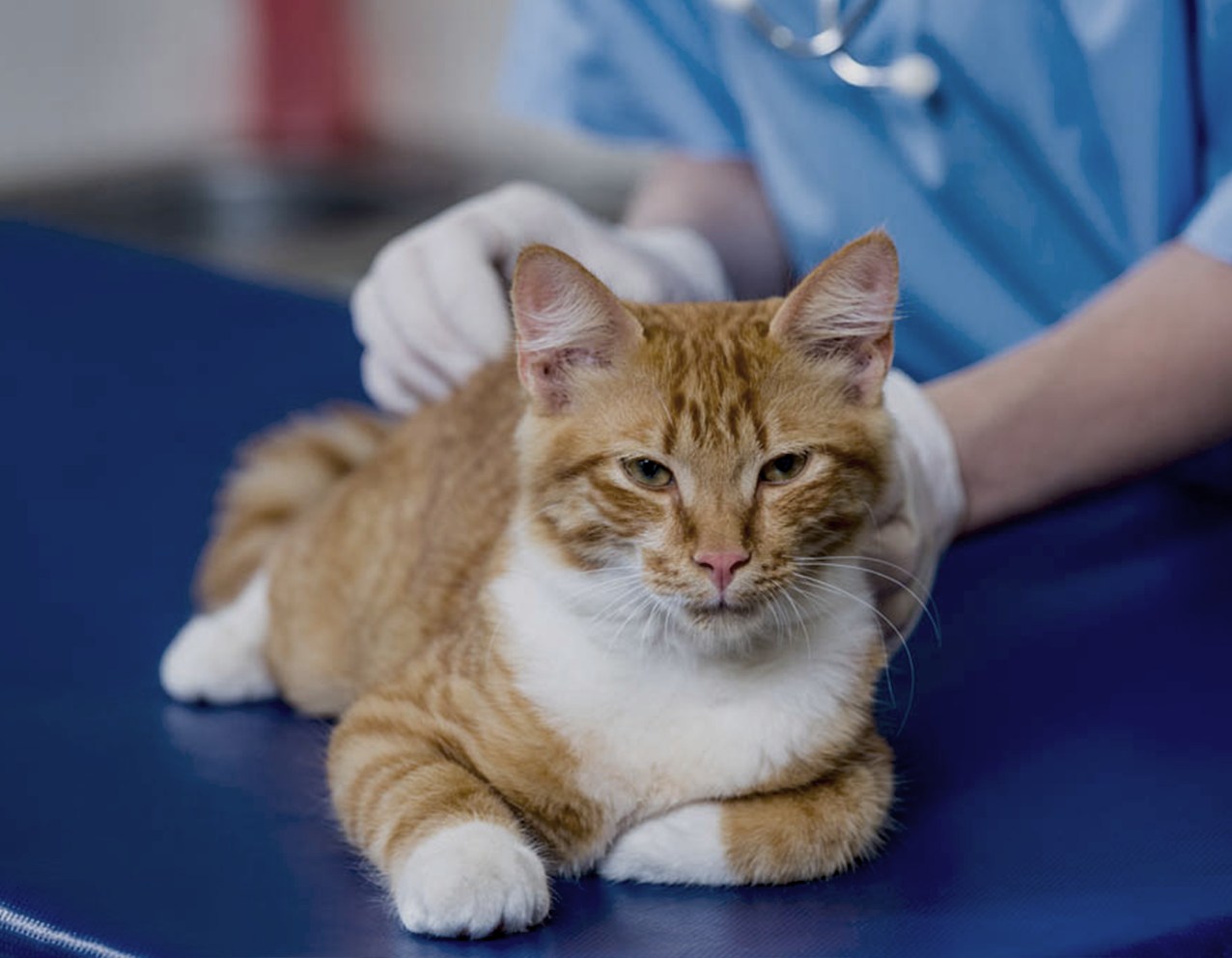 Неврология