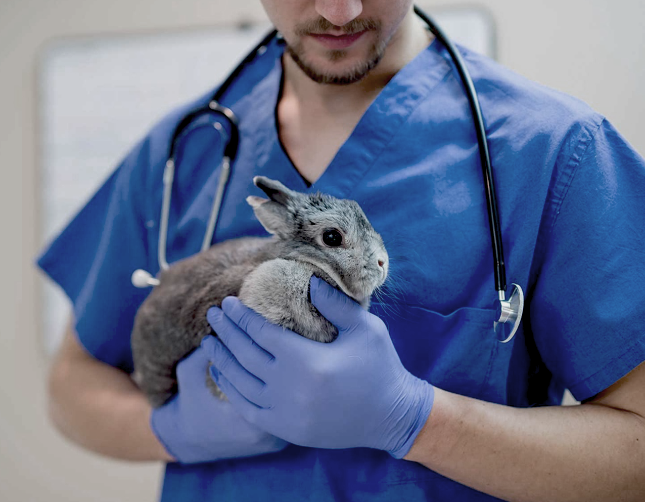 Травматология